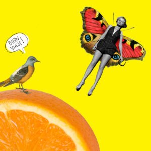 Rayén Savid Teixeira ilustración