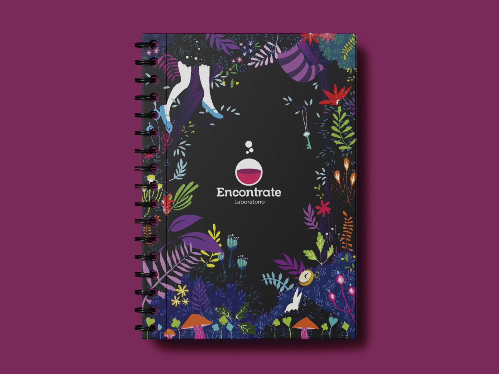 Rayén Savid Teixeira Unitrips Diseño Editorial