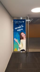 Rayén Savid Teixeira CellFox